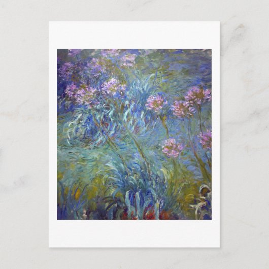 Agapanthus, Monet Postkarte (Vorderseite)
