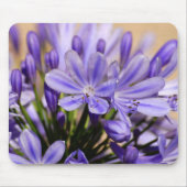 Agapanthus Mousepad (Vorne)