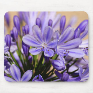 Agapanthus Mousepad