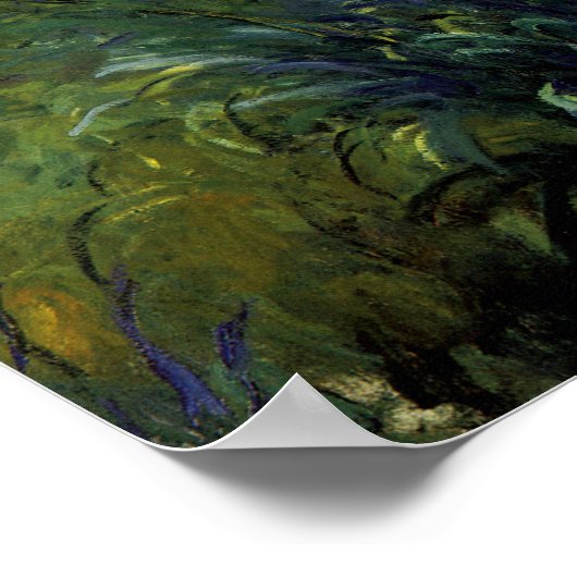 Agapanthus Poster (Ecke)