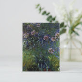 Agapanthus Postkarte (Stehend Vorderseite)
