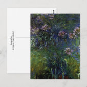 Agapanthus Postkarte (Vorne/Hinten)