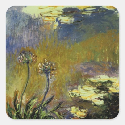 Agapanthus Quadratischer Aufkleber (Vorderseite)