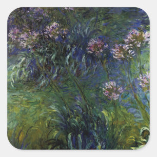 Agapanthus Quadratischer Aufkleber