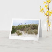 Agapanthus, Tresco Karte (Gelbe Blume)