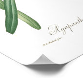 Agapanthus umbellatus poster (Ecke)