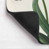 Agapanthus umbrellatus mousepad (Ecke)
