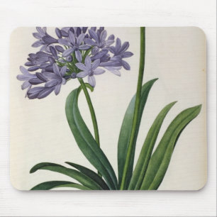 Agapanthus umbrellatus mousepad