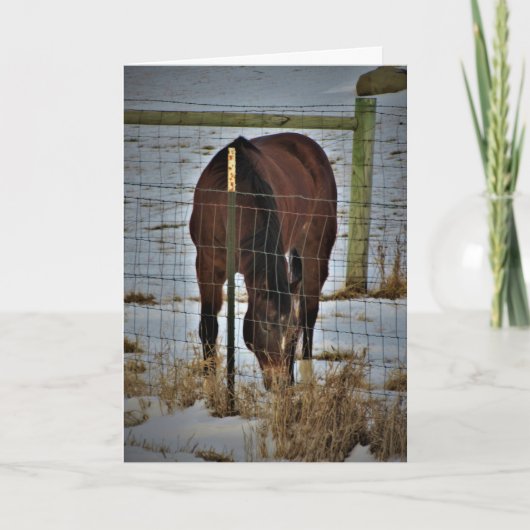 "Agape Acres" Geburtskarte Karte (Vorderseite)