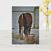 "Agape Acres" Geburtskarte Karte (Gelbe Blume)