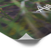 Agaricus-Pilz Poster (Ecke)