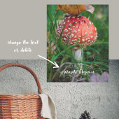 Agaricus-Pilz Poster