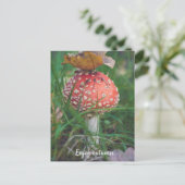 Agaricus-Pilz Postkarte (Stehend Vorderseite)