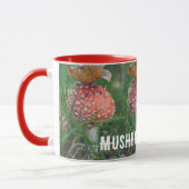 Agaricus-Pilz Tasse (Links)