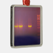 Agarose-Gel-Elektrophorese Silbernes Ornament (Rechts)