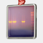 Agarose-Gel-Elektrophorese Silbernes Ornament (Links)
