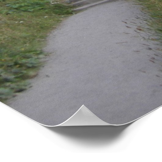 Agate Beach Trail Poster (Ecke)