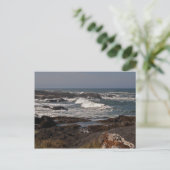 Agate Cove, Oregon Postkarte (Stehend Vorderseite)