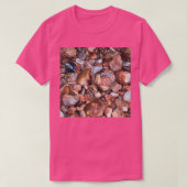 Agate Lake Superior T-Shirt (Design vorne)