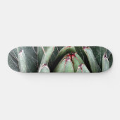 Agave Aloe Vera Pflanze Foto Skate Skateboard (Horizontal)