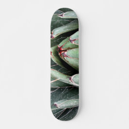 Agave Aloe Vera Pflanze Foto Skate Skateboard