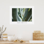 Agave Americana Poster (Küche)
