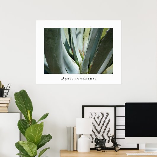 Agave Americana Poster (Heimbüro)
