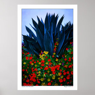 AGAVE and BLOOMS - CALIFORNIA COAST Poster