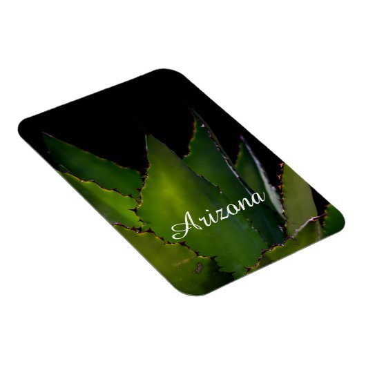 Agave Arizona Magnet (Rechte Seite)