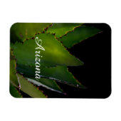 Agave Arizona Magnet (Horizontal)