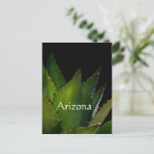 Agave Arizona Postkarte (Stehend Vorderseite)