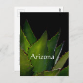 Agave Arizona Postkarte (Vorne/Hinten)