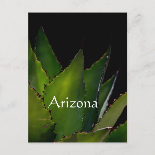 Agave Arizona Postkarte (Vorderseite)