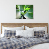 Agave Attenuata Leinwanddruck (Insitu (Schlafzimmer))