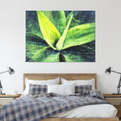 Agave Attenuata Leinwanddruck (Insitu (Schlafzimmer))