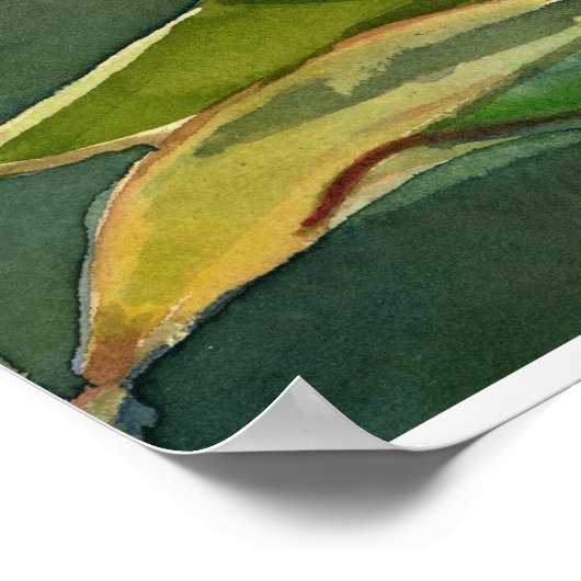 Agave attenuata poster (Ecke)