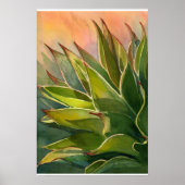 Agave attenuata poster (Vorne)