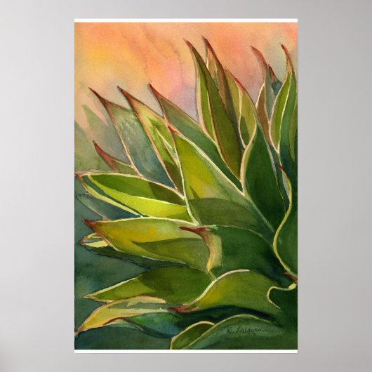Agave attenuata poster (Vorne)