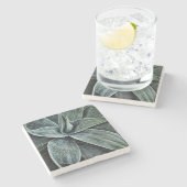 Agave Attenuata Steinuntersetzer (Seitenansicht)