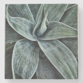 Agave Attenuata Steinuntersetzer (Vorderseite)