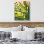 Agave attenuata Wasserfarbe von Debra Lee Baldwin Leinwanddruck (Insitu (Schlafzimmer))