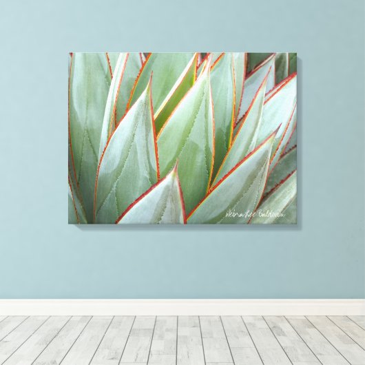 Agave "Blue Glow" Leinwand von Debra Lee Baldwin (Insitu (Holzboden))
