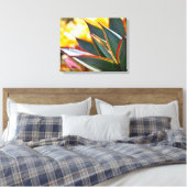 Agave Blue Glow succulekculed Foto Debra Lee Baldw Leinwanddruck (Insitu (Schlafzimmer))