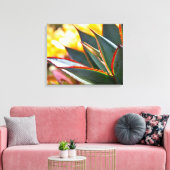 Agave Blue Glow succulekculed Foto Debra Lee Baldw Leinwanddruck (Insitu (Wohnzimmer))