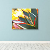 Agave Blue Glow succulekculed Foto Debra Lee Baldw Leinwanddruck (Insitu (Holzboden))
