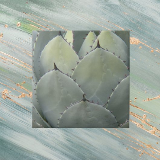 Agave Cactus Pflanze Southwestern Style Fliese