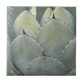 Agave Cactus Pflanze Southwestern Style Fliese (Vorderseite)