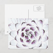 Agave Cactus Postcard Postkarte (Vorne/Hinten)
