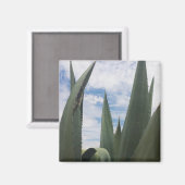 Agave Clouds Magnet (Vorderseite/Rückseite)
