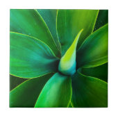 Agave Design Keramikfliese (Vorderseite)